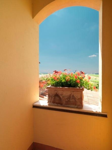 B&B La Casa Fra Gli Olivi Маршіано Екстер'єр фото