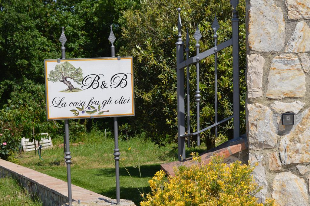 B&B La Casa Fra Gli Olivi Маршіано Екстер'єр фото